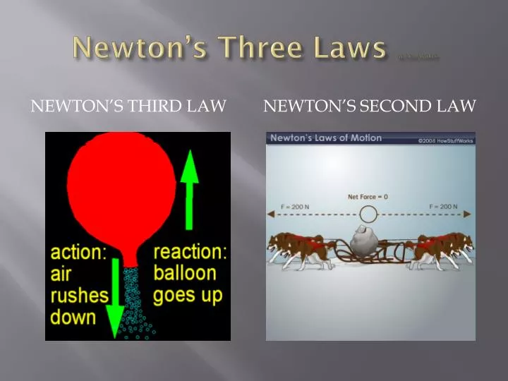 newton s three laws by leo avalos
