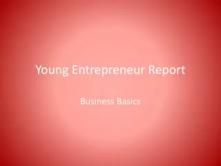Young Entrepreneur Report