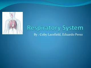 respiratory system