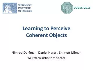 Learning to Perceive Coherent Objects