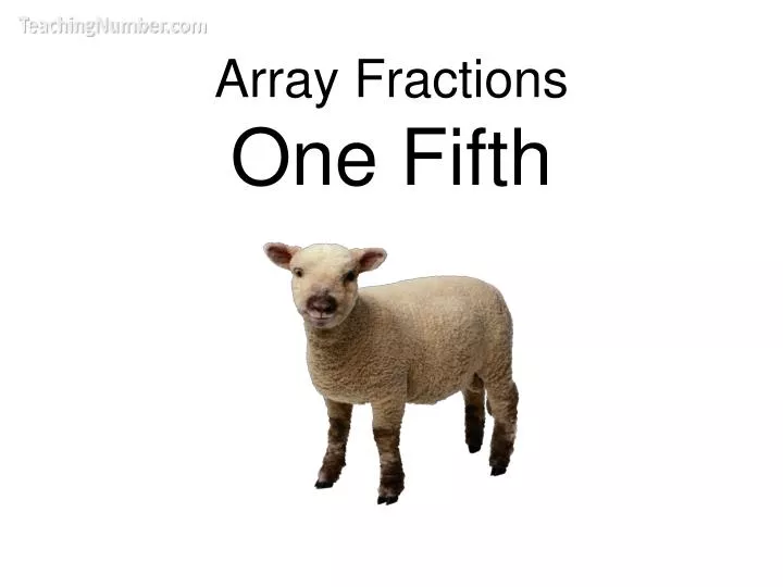array fractions one fifth