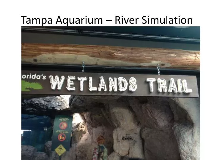 tampa aquarium river simulation