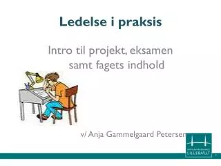 ledelse i praksis