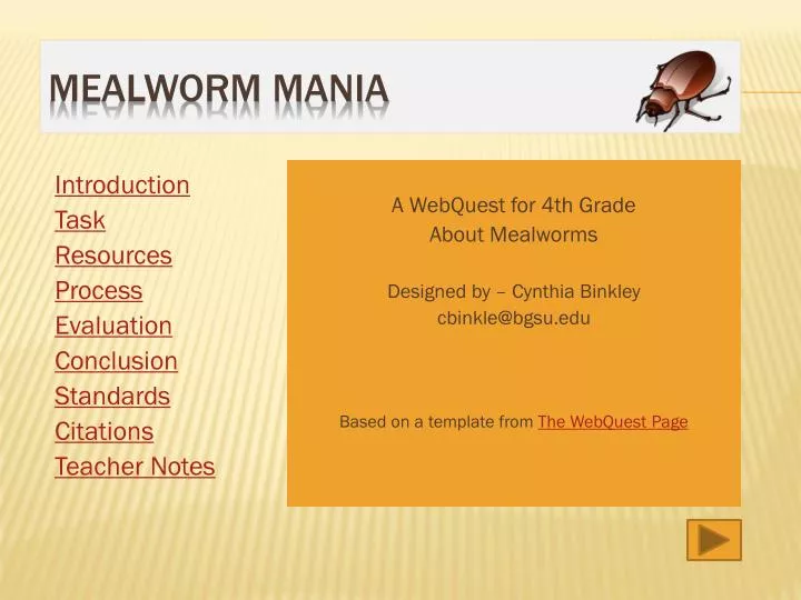 mealworm mania