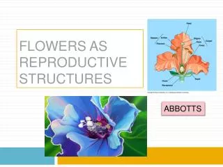 FLOWERS AS REPRODUCTIVE STRUCTURES