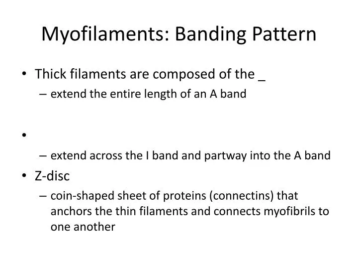 myofilaments banding pattern
