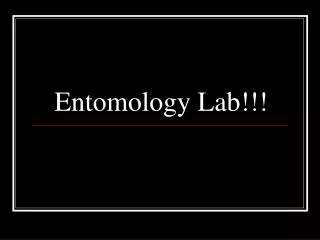 entomology lab