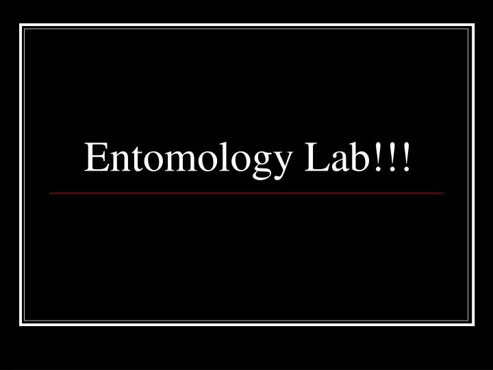 entomology lab