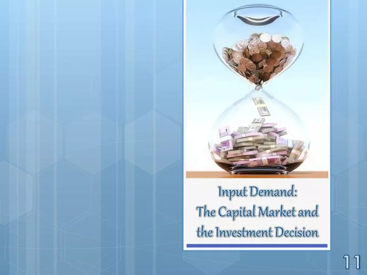 input demand the capital market and the investment decision