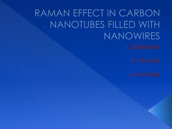 raman effect in carbon nanotubes filled with nanowires