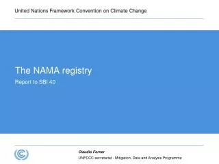 The NAMA registry Report to SBI 40