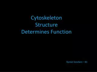 Cytoskeleton Structure Determines Function
