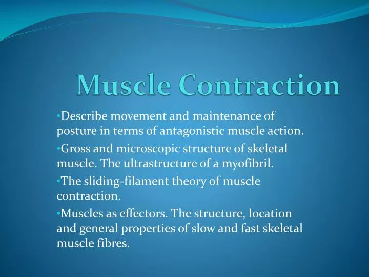 muscle contraction