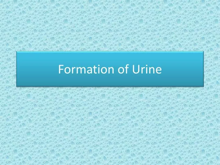 formation of urine