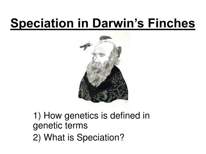 speciation in darwin s finches