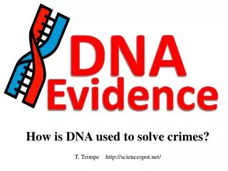 How is DNA used to solve crimes? T. Trimpe sciencespot/
