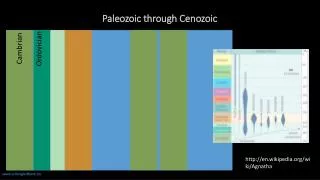Paleozoic through Cenozoic