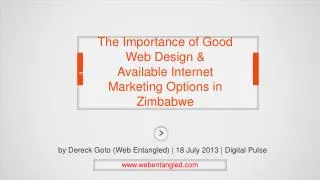 The Importance of Good Web Design &amp; Available Internet Marketing Options in Zimbabwe