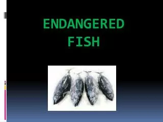 Endangered fish