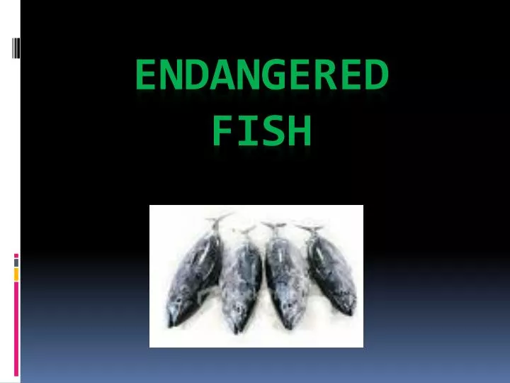 endangered fish