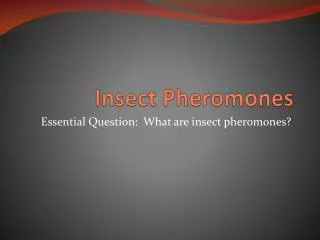 Insect Pheromones