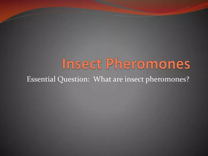 insect pheromones