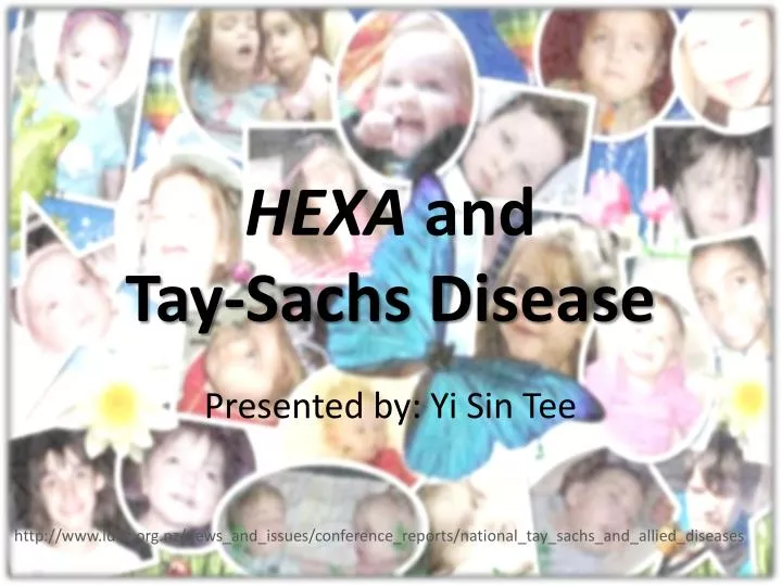 hexa and tay sachs disease