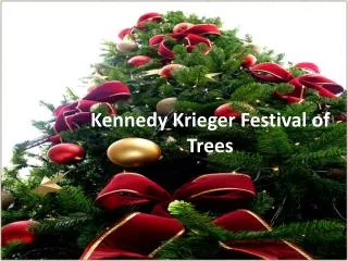 Kennedy Krieger Festival of Trees