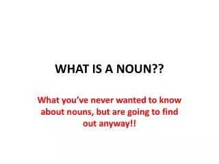 WHAT IS A NOUN??