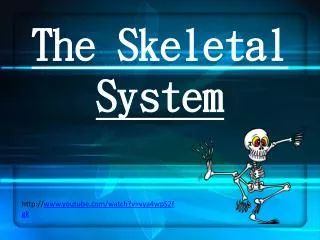 The Skeletal System