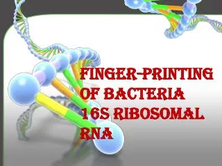 FINGER-PRINTING OF BACTERIA 16s ribosomal rna