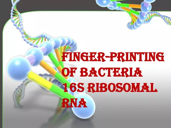 finger printing of bacteria 16s ribosomal rna