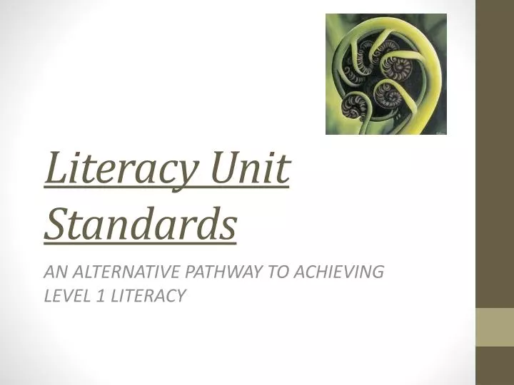 literacy unit standards