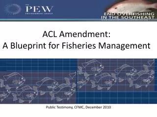 ACL Amendment: A Blueprint for Fisheries Management