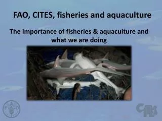 FAO, CITES, fisheries and aquaculture