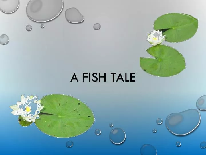 a fish tale
