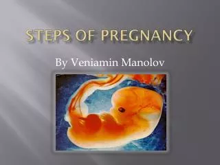 Steps of Pregnancy