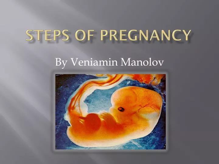 steps of pregnancy