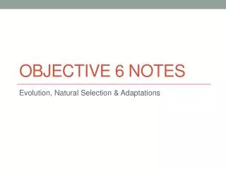 Objective 6 Notes