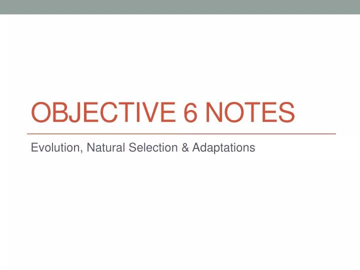 objective 6 notes