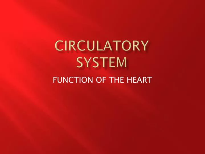 circulatory system