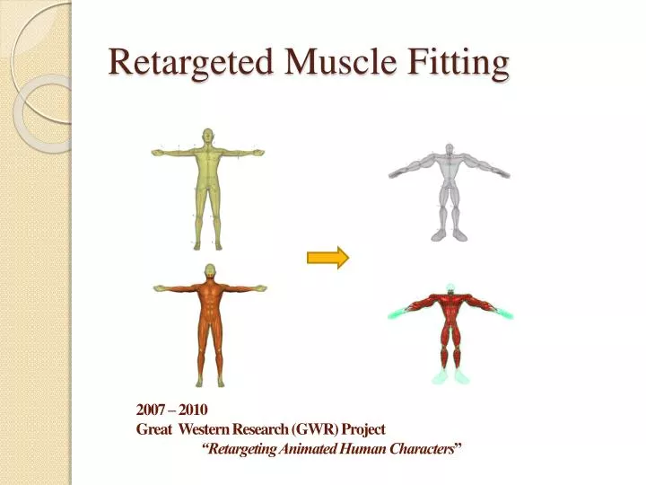 retargeted muscle fitting