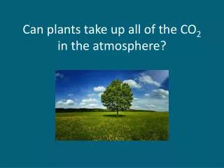 Can plants take up all of the CO 2 in the atmosphere?