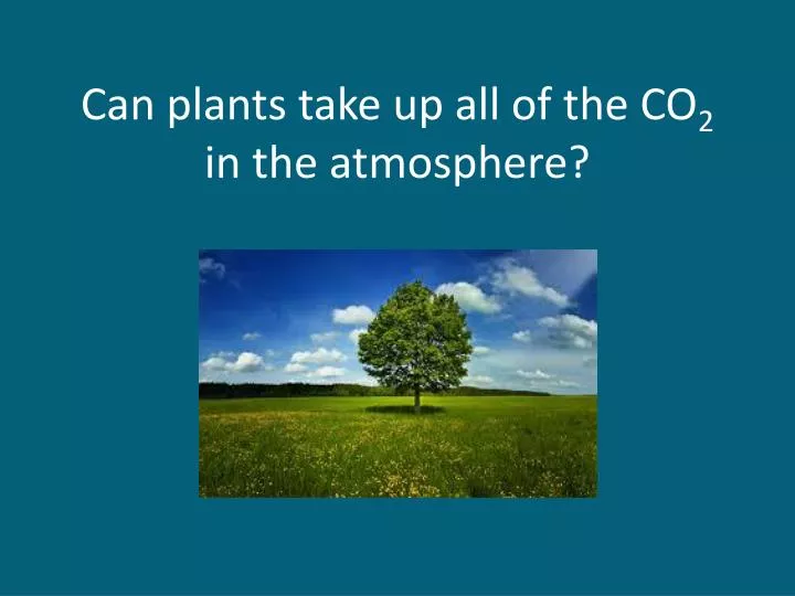 can plants take up all of the co 2 in the atmosphere
