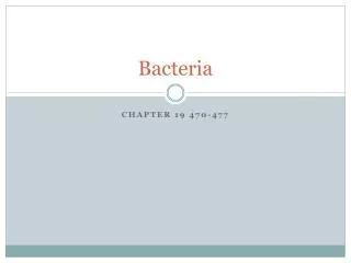 Bacteria