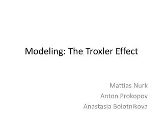 Modeling: The Troxler Effect