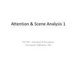 Attention &amp; Scene Analysis 1 - slide 1