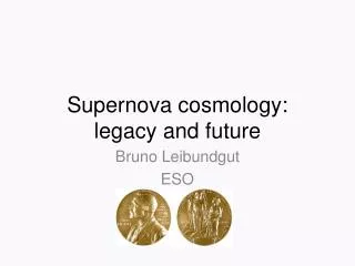 Supernova cosmology: legacy and future