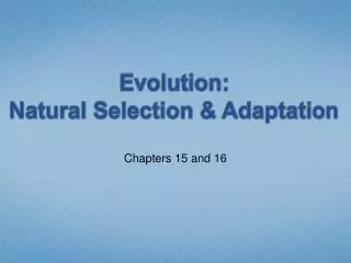 Evolution: Natural Selection &amp; Adaptation