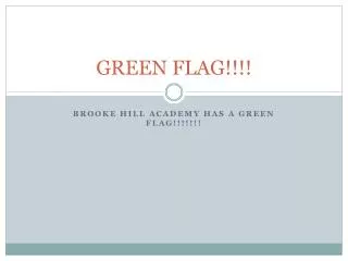 GREEN FLAG!!!!